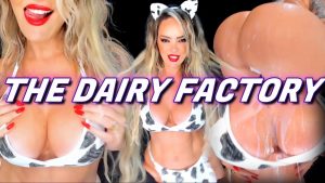 Dommebombshell – the Dairy Factory