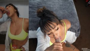 Sloansmoans – Beg Your Bully
